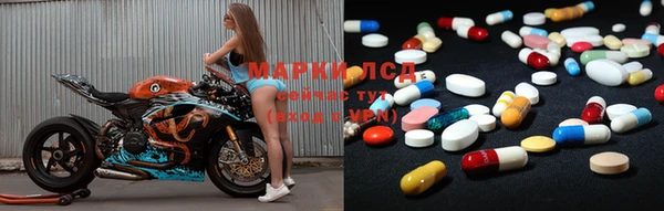 PSILOCYBIN Горнозаводск