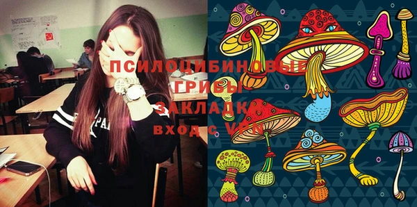 мдпв Каменск-Шахтинский