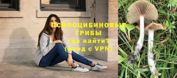 соль курить ск Рославль