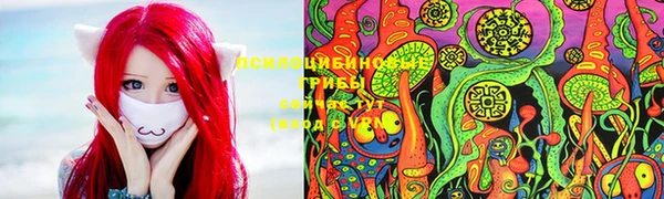 гидропоника Алзамай