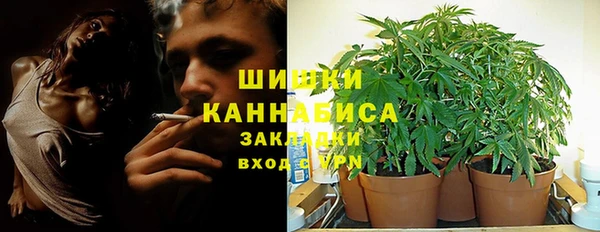 гидропоника Алзамай