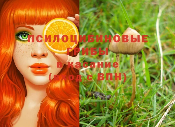 винт Россошь