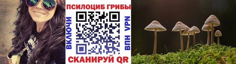 Псилоцибиновые грибы GOLDEN TEACHER  даркнет сайт  Емва 